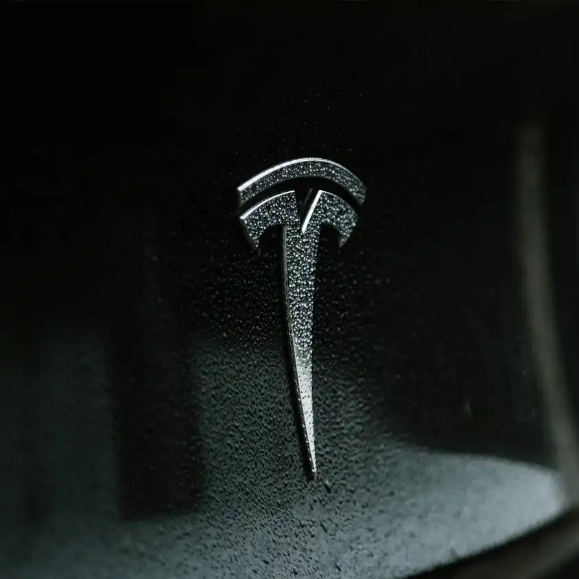 Tesla Customer Loyalty